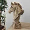 PAARDENHOOFD - Image 5