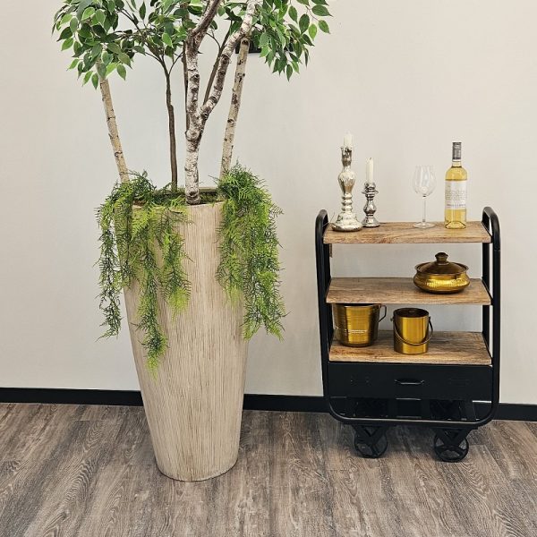 BELMONDO ZWART - Image 4