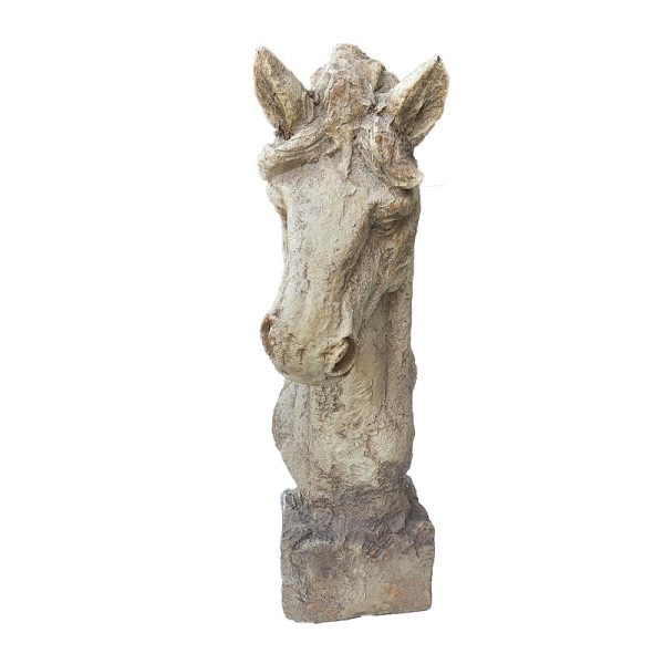 PAARDENHOOFD - Image 3