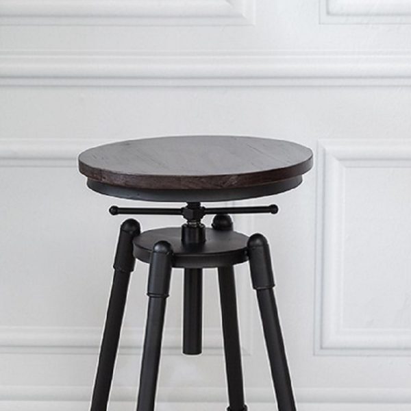 POLLY - Image 5